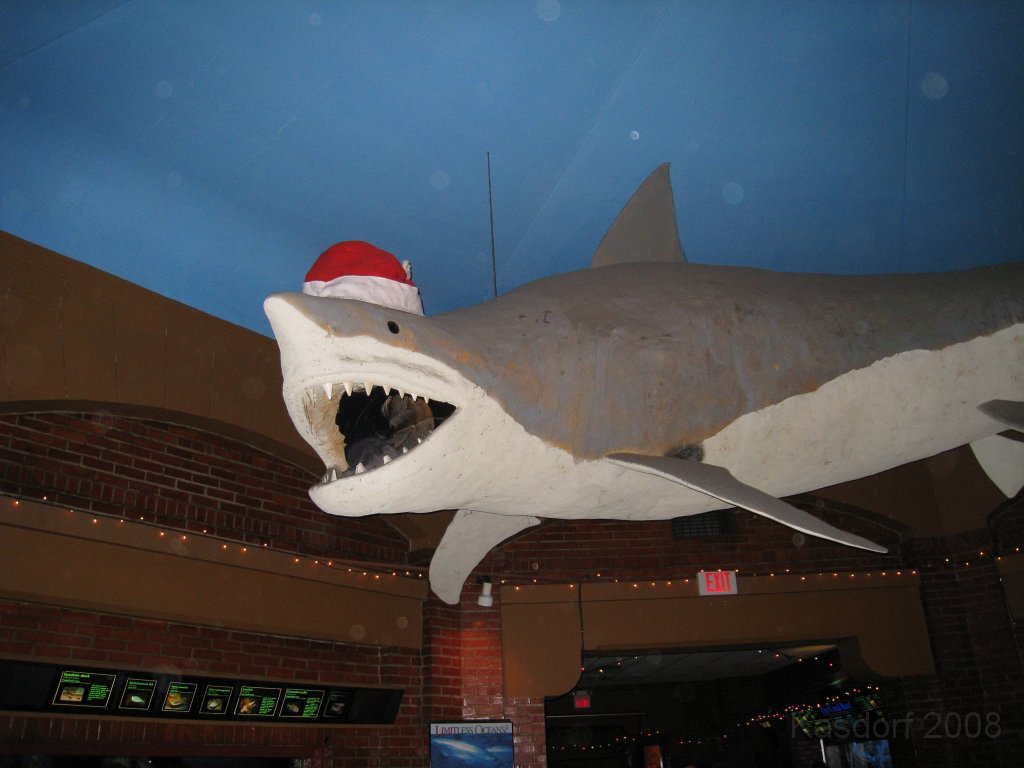 Toledo Zoo Lights 2008 094.jpg - The regular visit to the Toledo Ohio Zoo to see the Christmas Lights displays. New this trip were the "Dancing Lights", displays flashing in time with the Christmas Songs.
